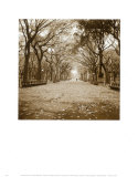 Central Park Art par Sondra Wampler