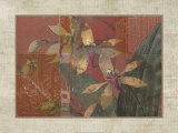 Coral Orchids II Print by John Butler Coral Orchids II Print by John Butler