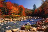 Ruisseau à l'automne Poster