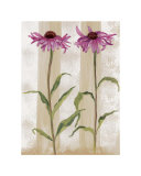Rudbeckia Posters by Valerie Roy