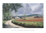 Thunder Mountain Poppies Prints by Philbeck 