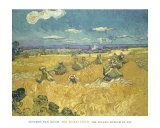 El trigal, 1888 Láminas por Vincent van Gogh