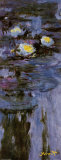 Ninfeas Lámina por Claude Monet