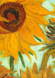 Vincent van Gogh - Slunečnice, cca 1888 Obrazy Vincent van Gogh - Slunečnice, cca 1888 Obrazy