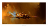 Spitfire Affiches par Barrie Clark