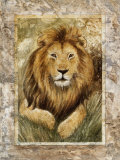 Lion Prints by Monica Reed