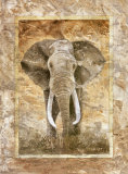 Elephant Prints by Monica Reed