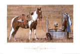 Cowgirl au paradis Affiches par David R. Stoecklein