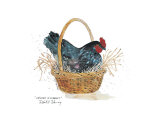 Chicken in a Basket Poster von Robert A. Fleming