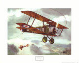 Sopwith Camel, 1917 Kunstdrucke von Alfred Owles