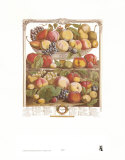 Twelve Months of Fruits, 1732, September Posters by Robert Furber