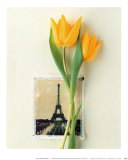 Tulipes et carte postale de la Tour Eiffel Poster par Dorothy Gaubert Pyle