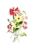 Flowers Posters by Louise Anne Twarmley