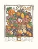 Twelve Months of Fruits, 1732, October Poster by Robert Furber