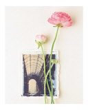 Pivoine, euro-floral Affiches par Dorothy Gaubert Pyle