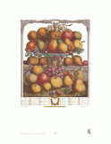 Twelve Months of Fruits, 1732, December Print by Robert Furber