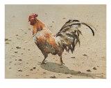 Banty Rooster Print by LaVere Hutchings