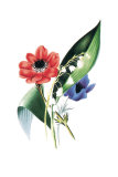 Fleurs Affiches par Louise Anne Twarmley