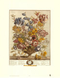 Twelve Months of Flowers, 1730, April Prints by Robert Furber