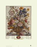 Twelve Months of Flowers, 1730, June Affiches par Robert Furber
