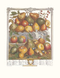 Twelve Months of Fruits, 1732, January Art par Robert Furber