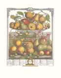 Twelve Months of Fruits, 1732, March Poster par Robert Furber