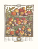 Twelve Months of Fruits, 1732, August Art by Robert Furber