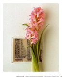 Jacinthe, euro-floral Affiches par Dorothy Gaubert Pyle