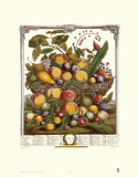 Twelve Months of Fruits, 1732, July Posters by Robert Furber