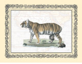 Tiger Prints