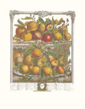Twelve Months of Fruits, 1732, April Poster par Robert Furber
