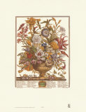 Twelve Months of Flowers, 1730, September Affiches par Robert Furber