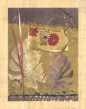 Rainforest Suite III Prints by Mimi Cora