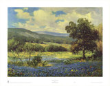 Campos de azul Pósters por Robert Wood