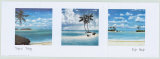 Tropical Trilogy Posters by Rick Novak