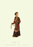 Chinese Mandarin Figure Poster