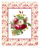 Roses and Toile Prints Roses and Toile Prints