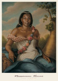 Venus de Nassau Affiche par Tim Ashkar