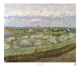 Orchard Prints by Vincent van Gogh
