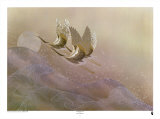Cranes Over Waves Prints by Keiichi Nishimura