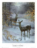 Early Snow Print by Edward J. Bierly