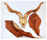 Cráneo de carnero con hojas marrones Láminas por Georgia O'Keeffe