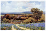Texas Spring Prints by Robert Wood