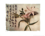 Oriental Lily Posters by Julie Nightingale