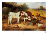 Farmyard Friends, 1920 Art by Walter Hunt