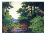 Inlet Pines Prints by Marian Hirsch Inlet Pines Prints by Marian Hirsch