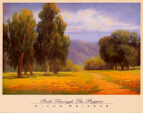Path Through the Poppies Prints by Diana Reineke