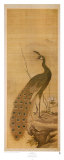 Chiu: Pavo real Pósters por Yanagisawa Kien
