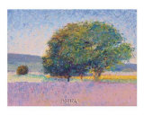 Trees in Provence Posters by Gail Wells-Hess Trees in Provence Posters by Gail Wells-Hess