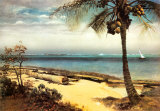 Tropical Coast Poster by Albert Bierstadt